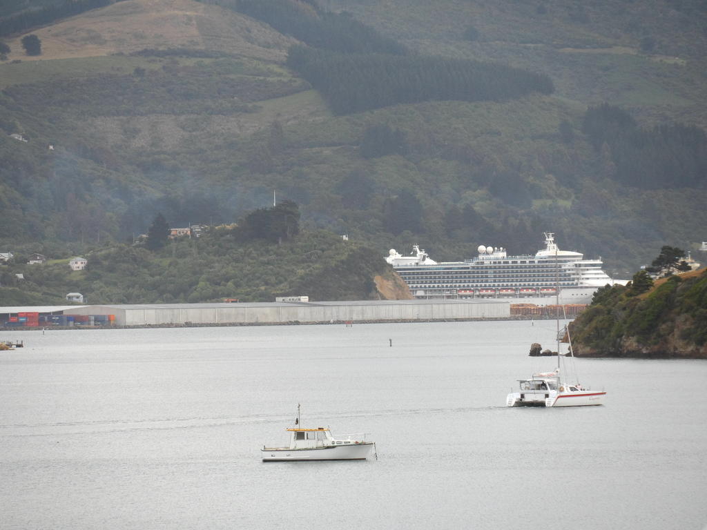 Otago Peninsula Motel Portobello Εξωτερικό φωτογραφία