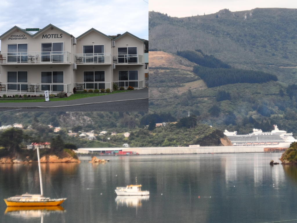 Otago Peninsula Motel Portobello Εξωτερικό φωτογραφία